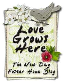 Love Grows Here: The New Day Foster Home Blog
