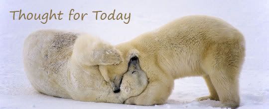 polarbears.jpg Thought for the day picture by paiajay