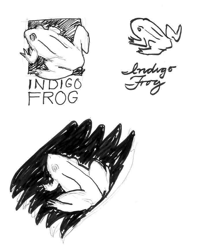 Indigo Frog Sketches 1