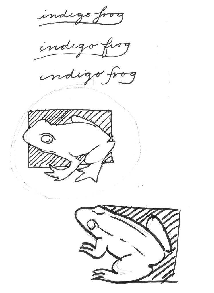 Indigo Frog Sketches 2