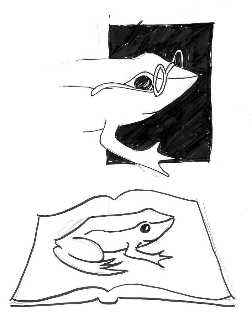 Indigo Frog Sketches