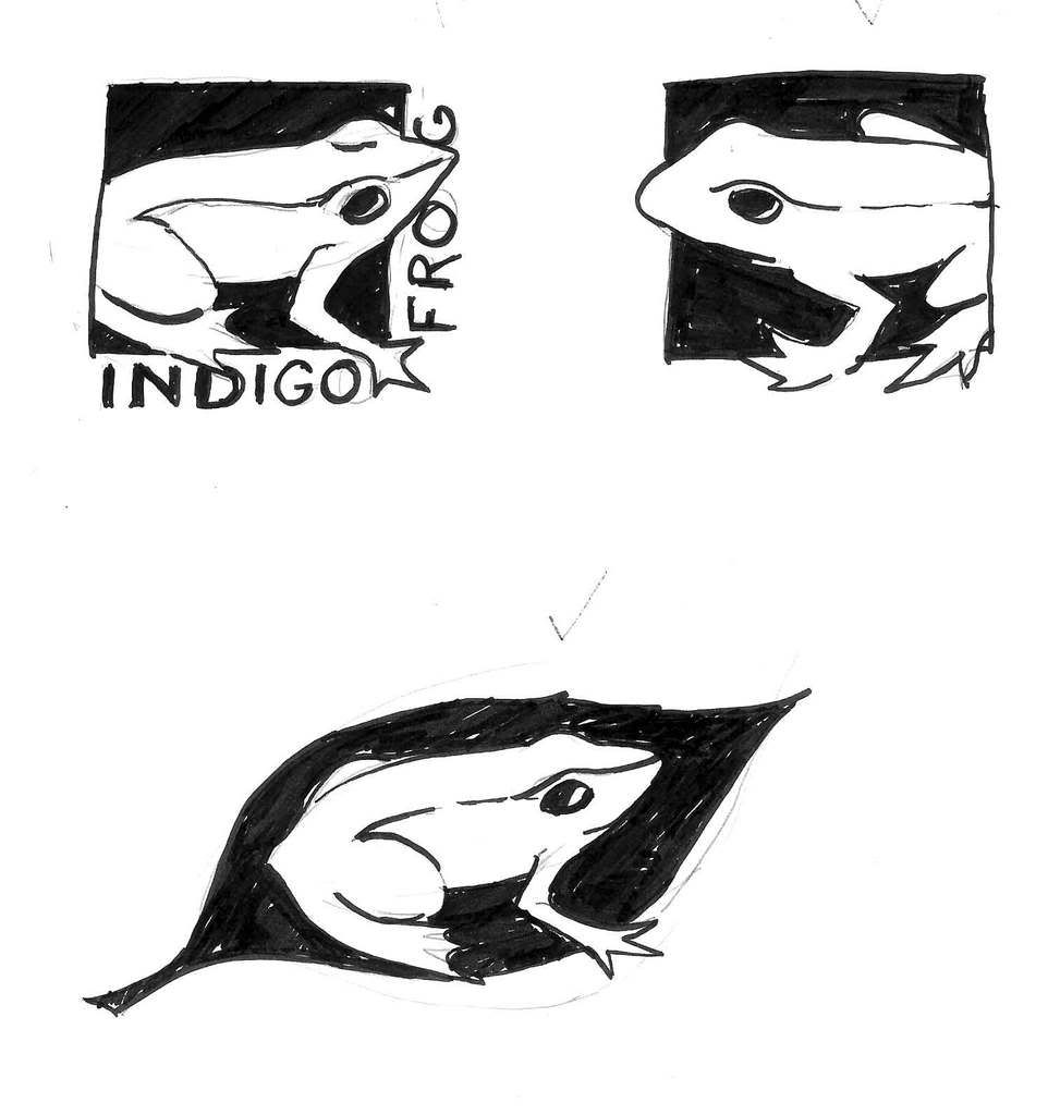 Indigo Frog Sketches