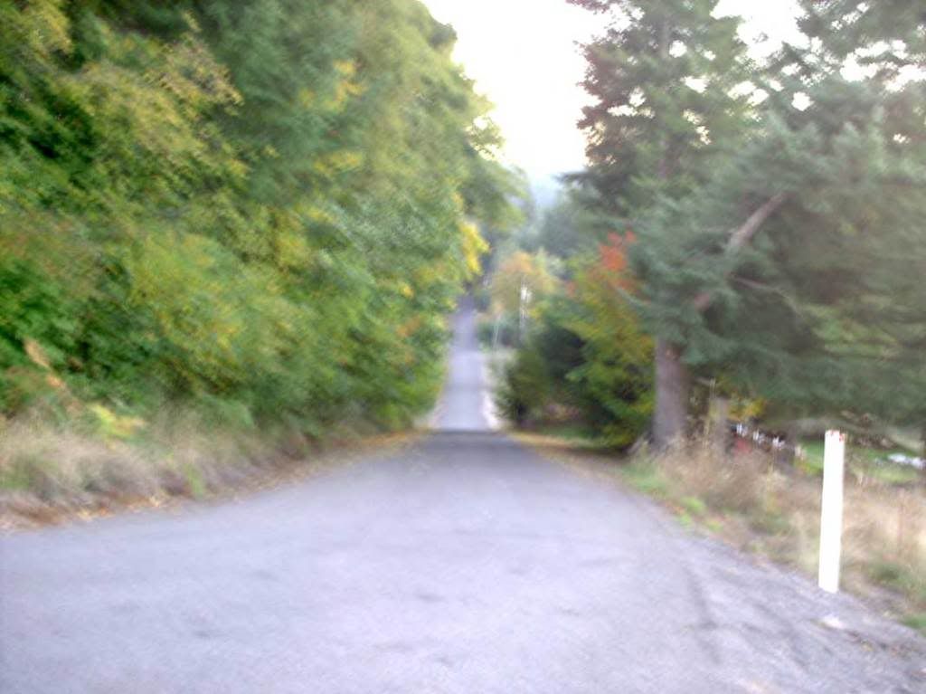 SE 502nd Avenue View down hill