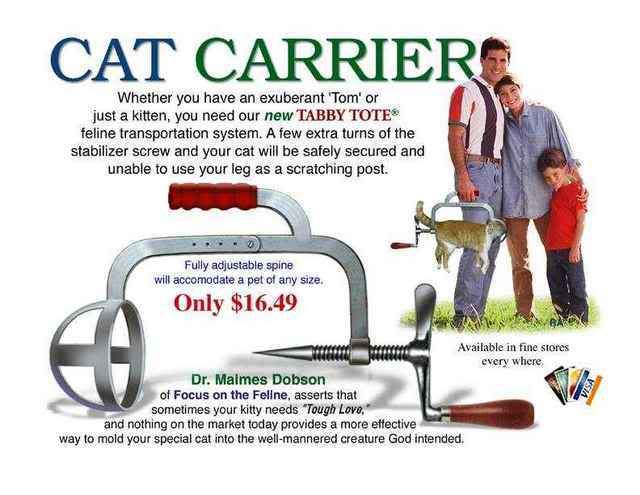 Cat Carrier Pictures, Images and Photos