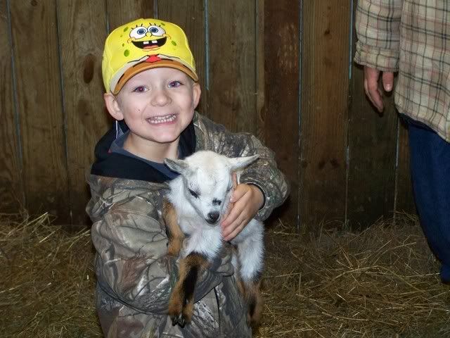 Updated Baby Pics of Shade of Luck - Goats