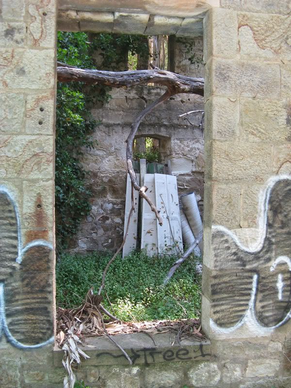 IMAGE: http://i193.photobucket.com/albums/z135/traildad450/IMG_1282_3.jpg