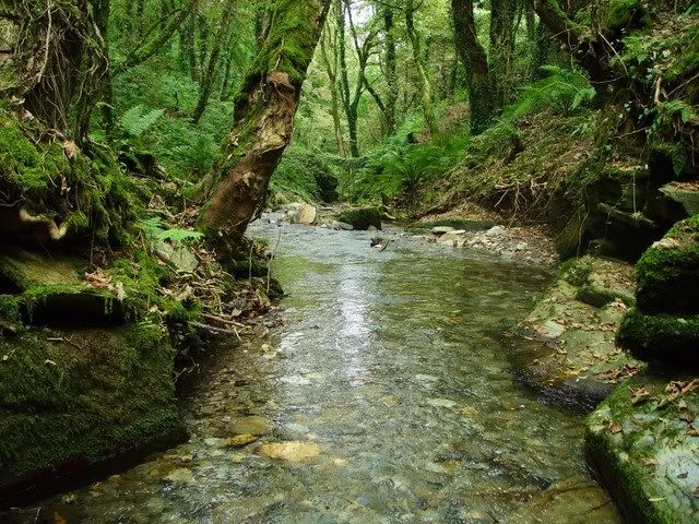 Doa ve Manzara Resimleri (4. Katalog)