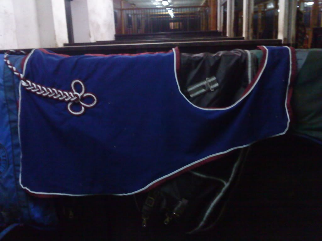 DSC02355.jpg