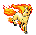 Rapidash Pictures, Images and Photos