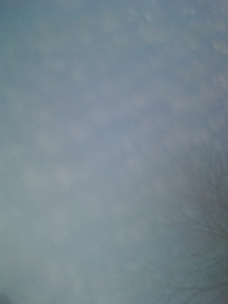 img1325973876926.jpg