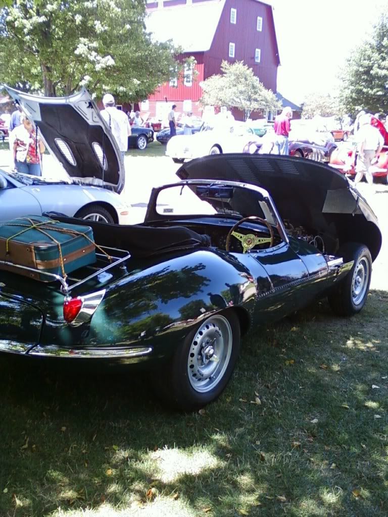 img1247455754361.jpg