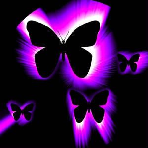 blck purple butterflys Pictures, Images a<a href=