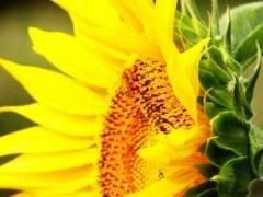  yahoo grousp , groups yahoo mail 