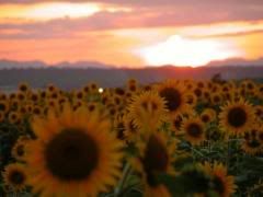  yahoo grousp , groups yahoo mail 