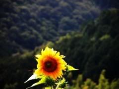  yahoo grousp , groups yahoo mail 