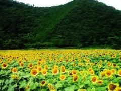  yahoo grousp , groups yahoo mail 