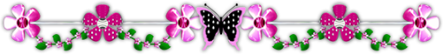  photo barra-Black and Pink.png