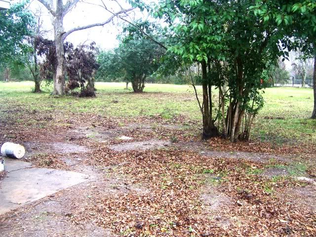 HOUSE-oneacrebackyard.jpg picture by abismom04