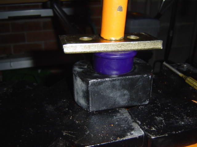 DSC01906.jpg