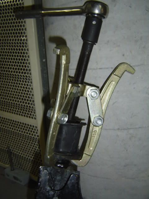 DSC01910.jpg