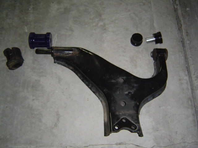 DSC01911.jpg