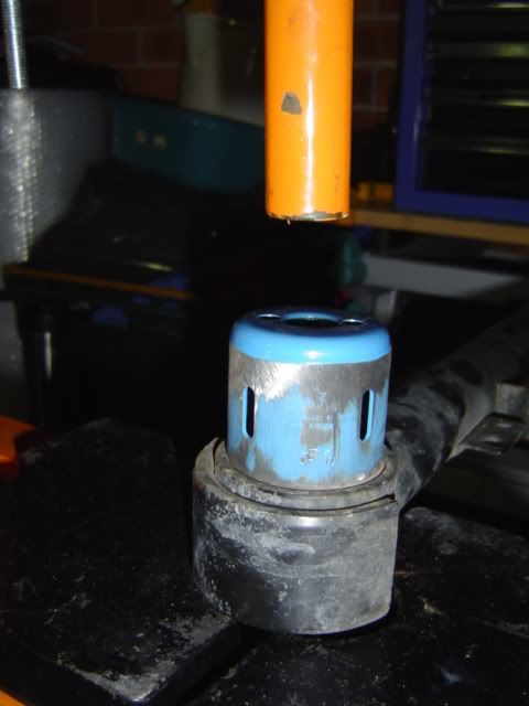 DSC01915-1.jpg