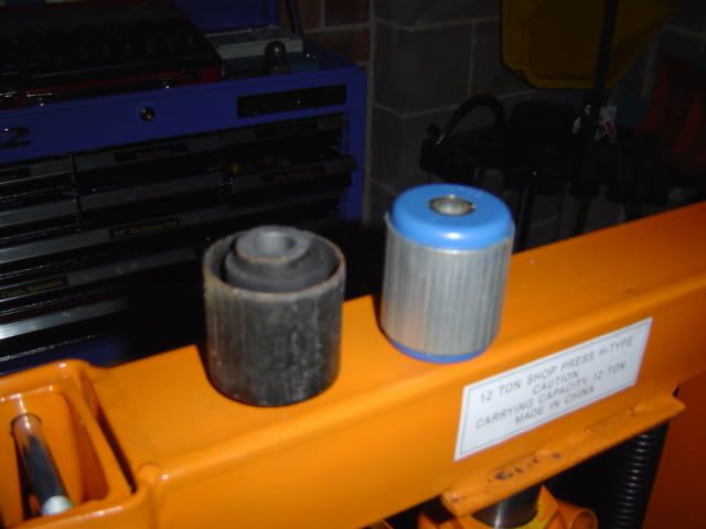 DSC01916.jpg