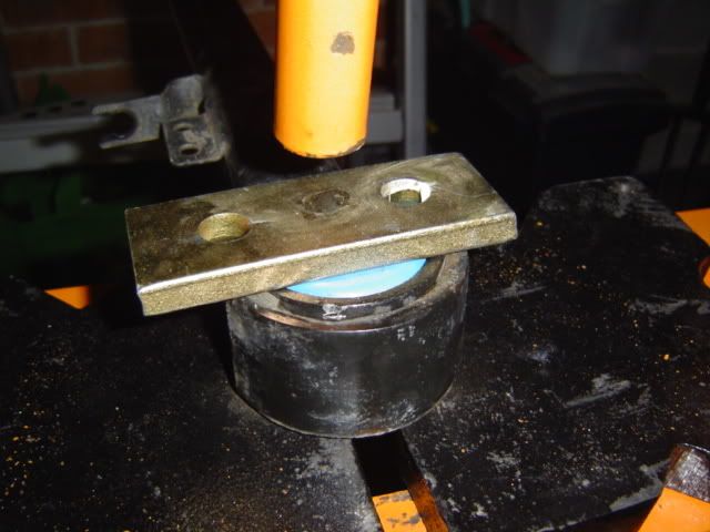 DSC01917.jpg