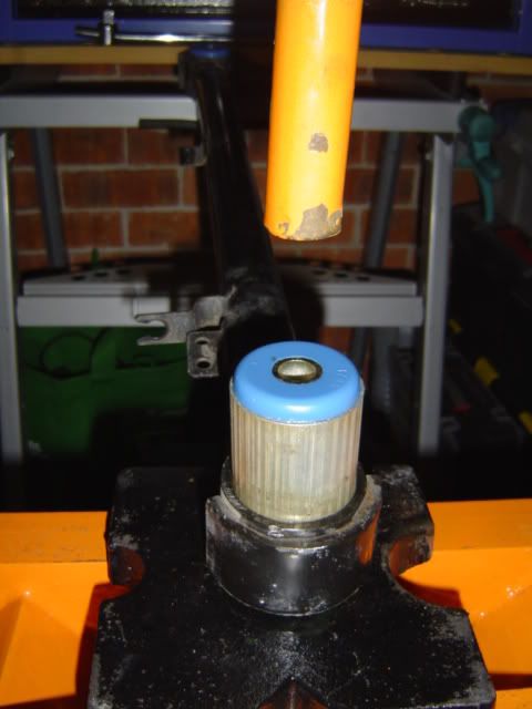DSC01920-1.jpg
