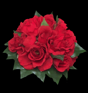 Mother Day-red rose