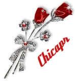 ir_rosas_chicapr.jpg Capullos de Rosas picture by chicapr