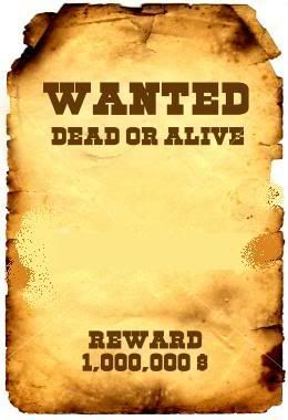 [img width=260 height=380]http://i193.photobucket.com/albums/z209/victorieplein2/20070805-2.jpg[/img]