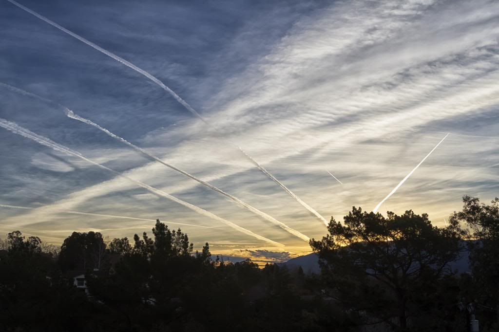 IMAGE: http://i193.photobucket.com/albums/z211/jon1937/DawnPatrol.jpg