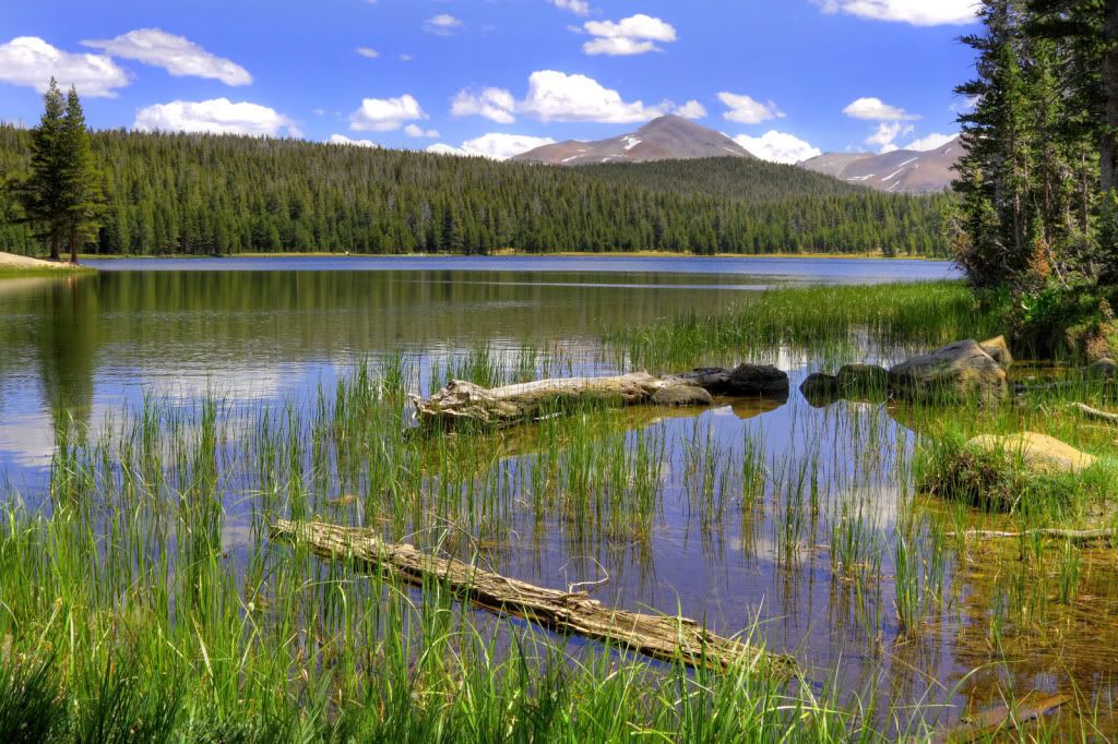 IMAGE: http://i193.photobucket.com/albums/z211/jon1937/DogLake1.jpg