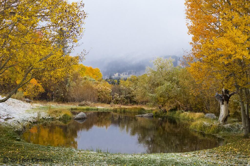 IMAGE: http://i193.photobucket.com/albums/z211/jon1937/Fall%20Color/Fall13a.jpg