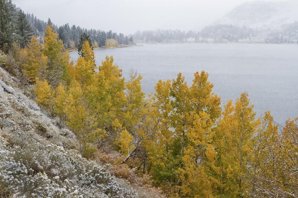 IMAGE: http://i193.photobucket.com/albums/z211/jon1937/Fall%20Color/Fall13b.jpg