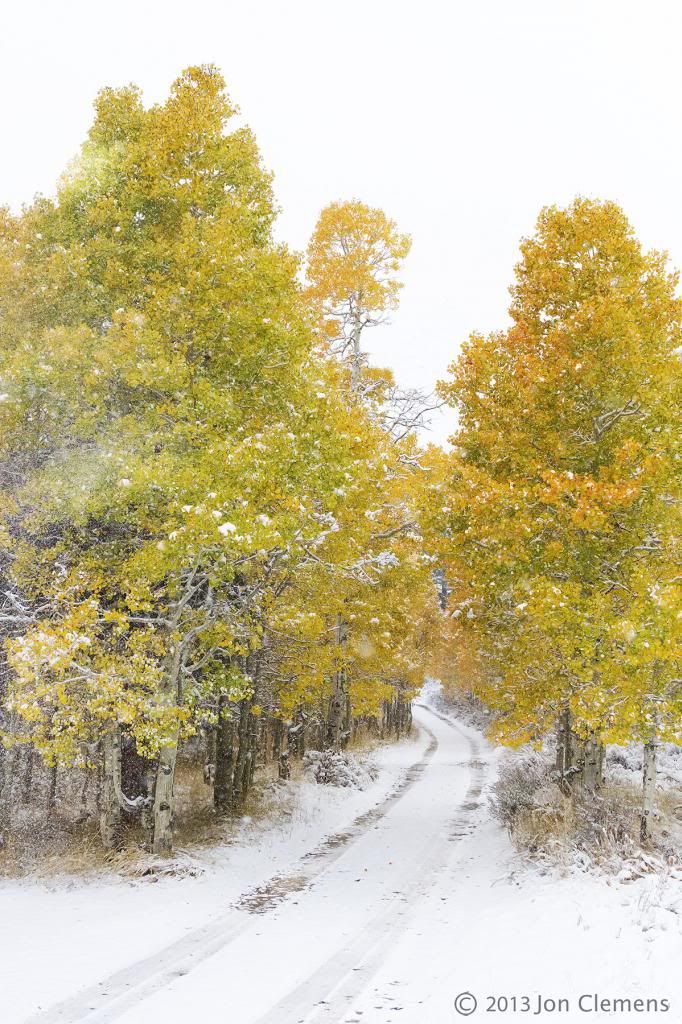 IMAGE: http://i193.photobucket.com/albums/z211/jon1937/Fall%20Color/Fall13d.jpg