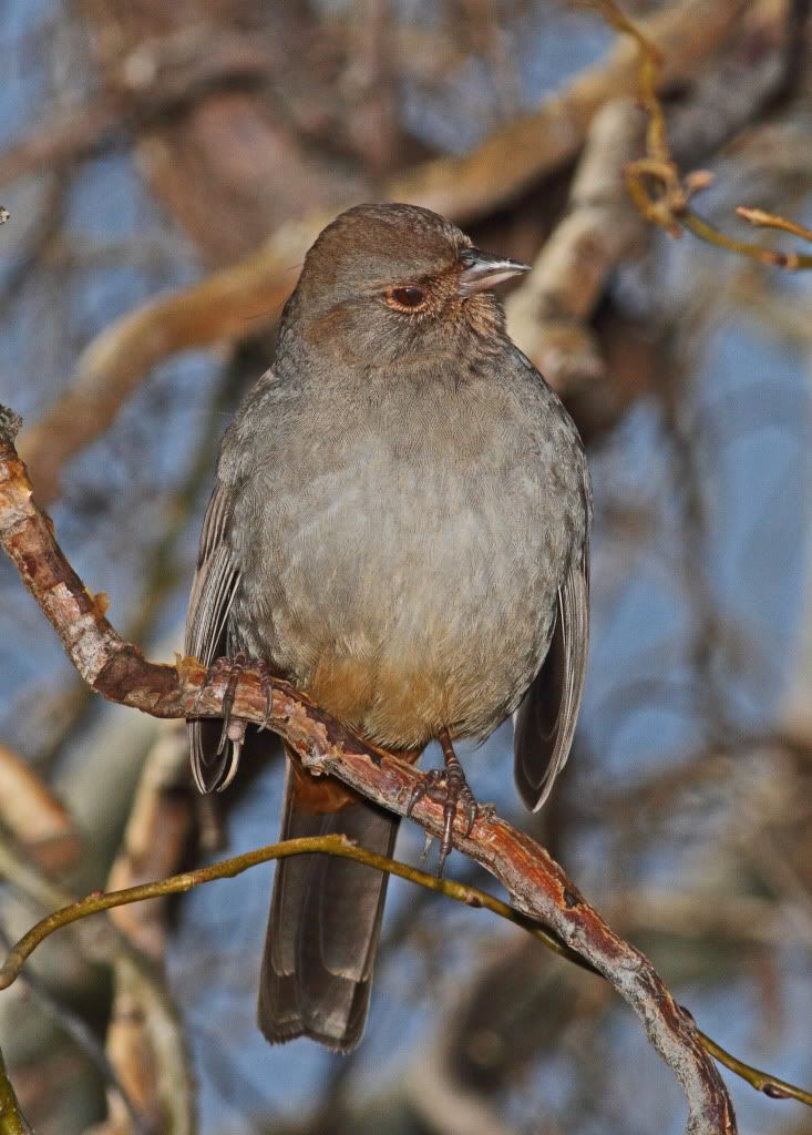 IMAGE: http://i193.photobucket.com/albums/z211/jon1937/IMG_4769A.jpg