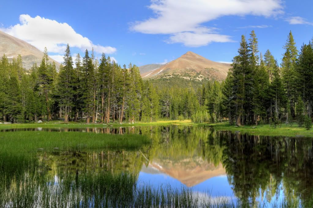 IMAGE: http://i193.photobucket.com/albums/z211/jon1937/PondReflection.jpg