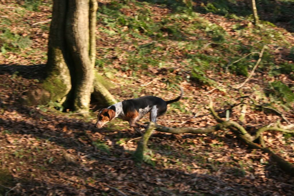 IMG_2540.jpg