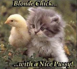 blond chick