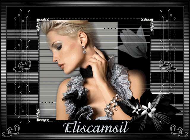 ELISCAMSIL