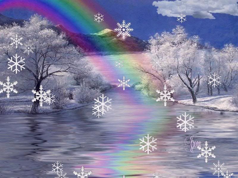 rainbow high snow