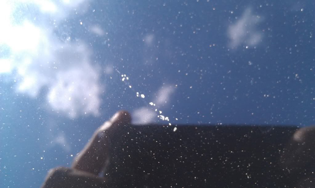 IMAG0175.jpg