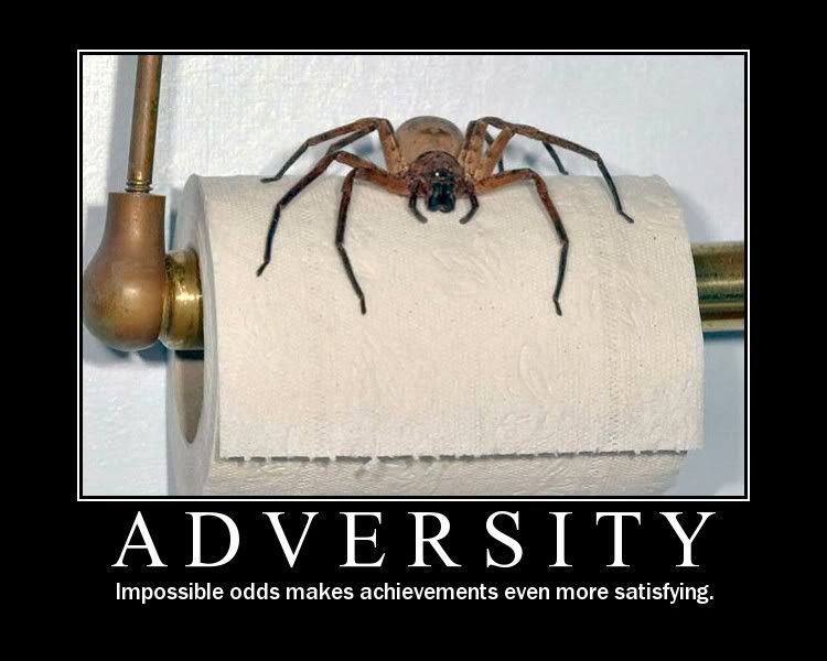 Adversity.jpg