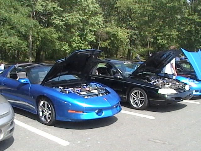 RFP08003.jpg