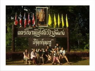 ทีลอซู