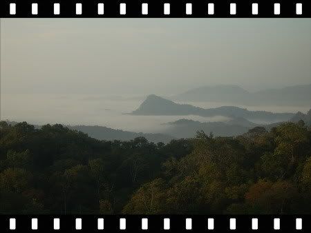 ทีลอซู