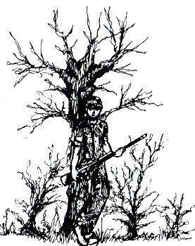 28-1, Baobab Tree