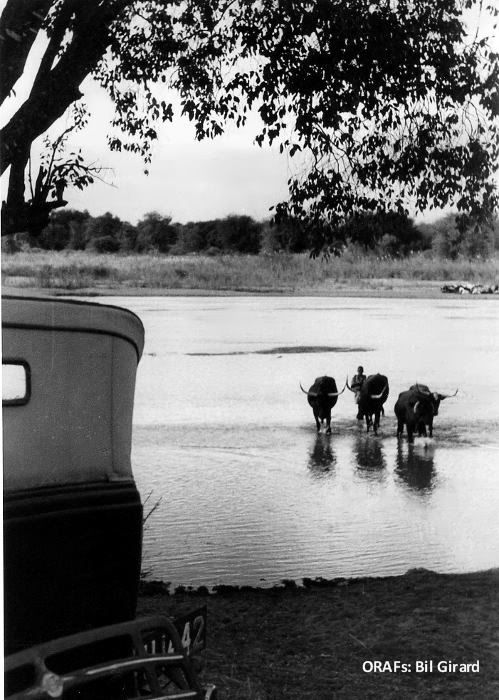 16, Rhodesian Memories